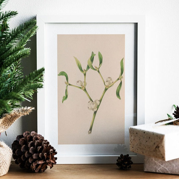 Christmas Rose Art Print
