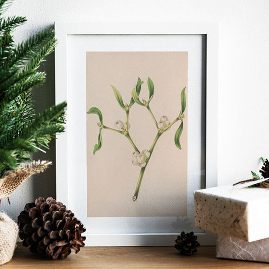 Christmas Rose Art Print