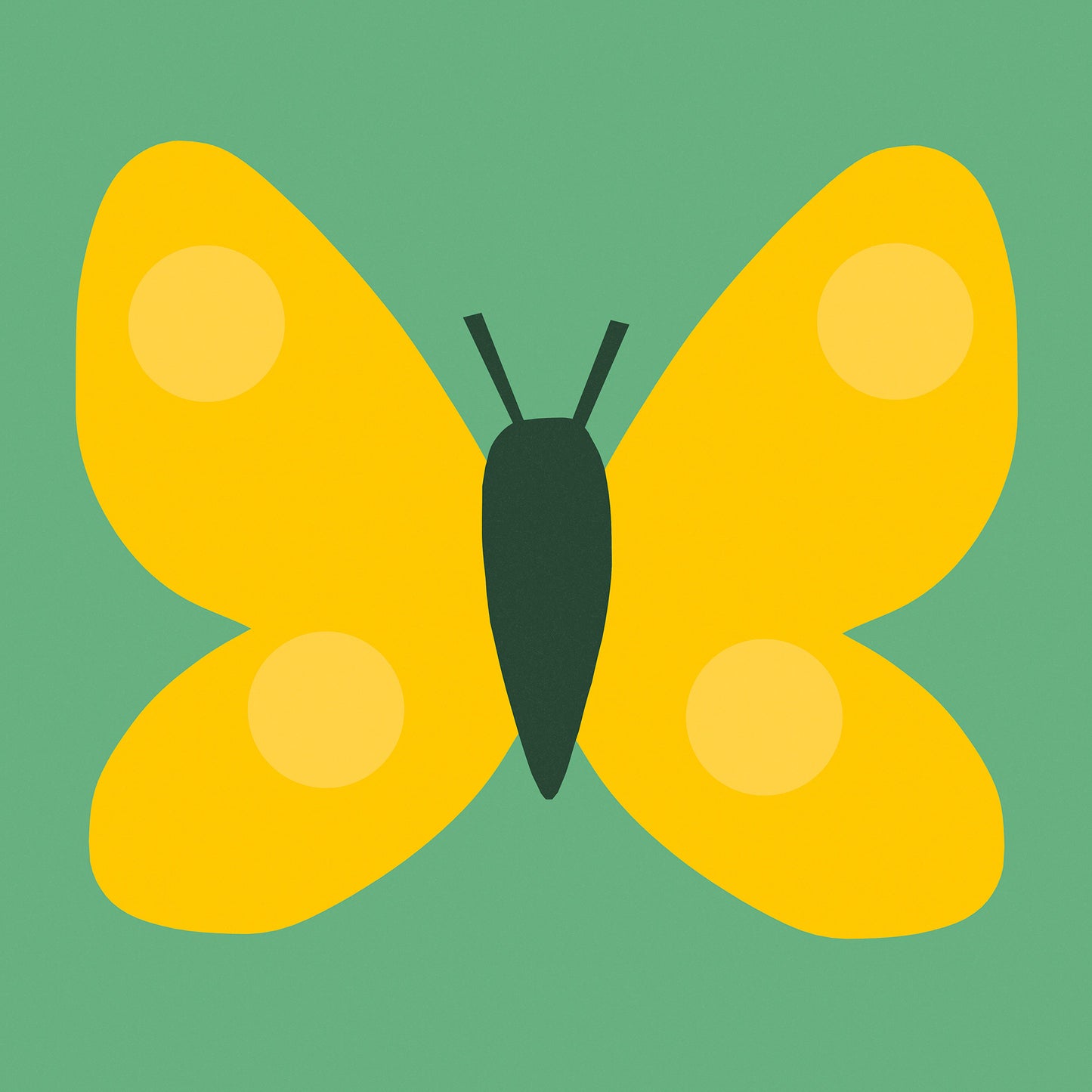 Butterfly Print