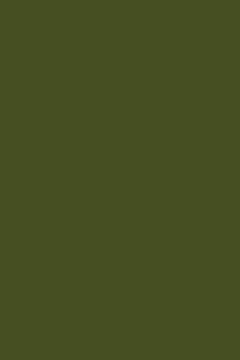 Baskets - Olive