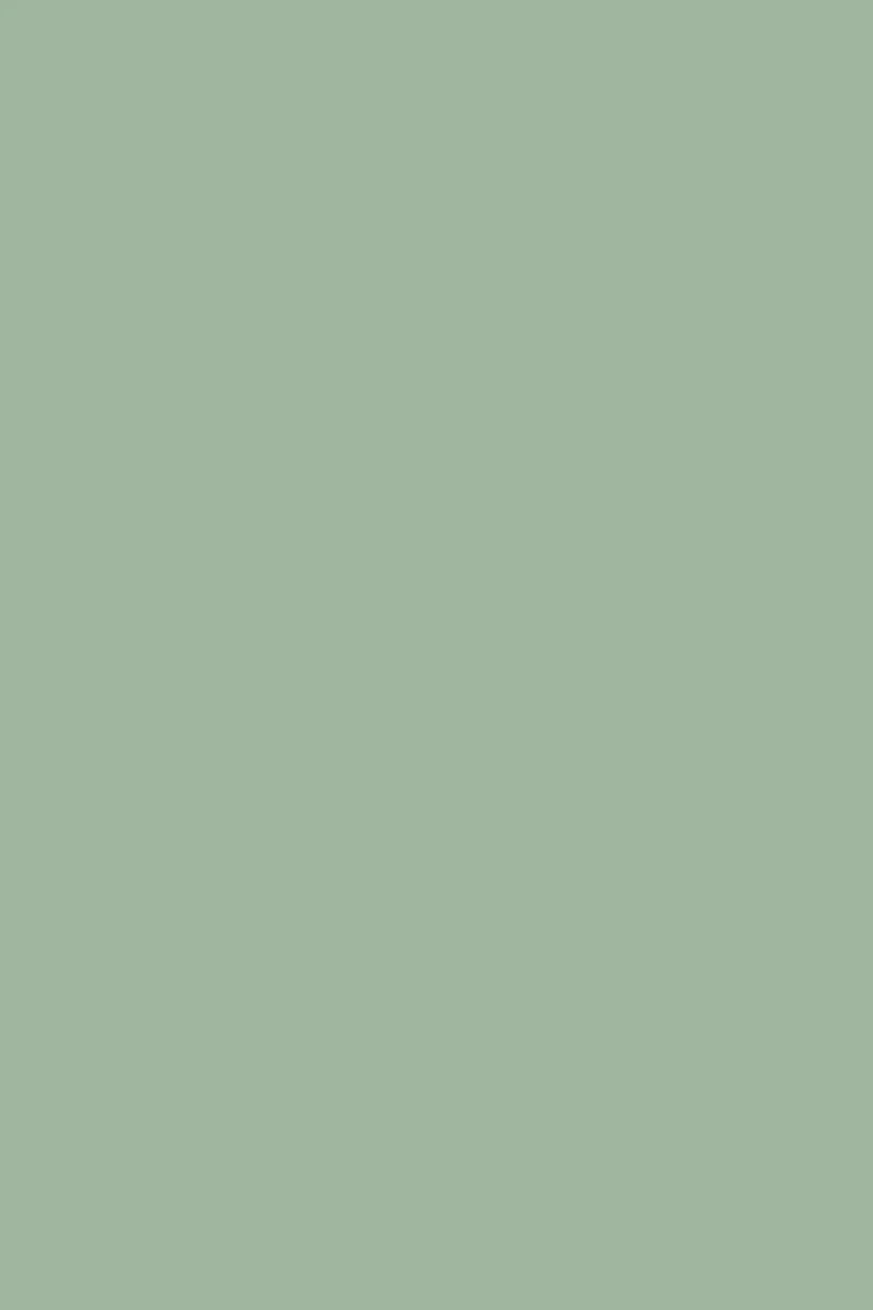 Baskets - Sage