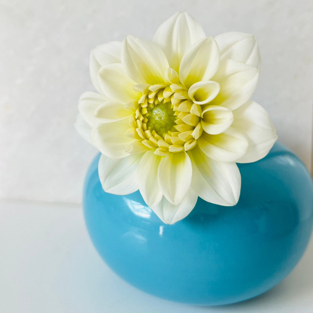 Vase In Glossy Turquoise.