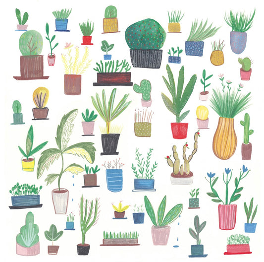Botanical Art Print