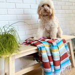 Load image into Gallery viewer, Handwoven Zion Multi Use Blanket